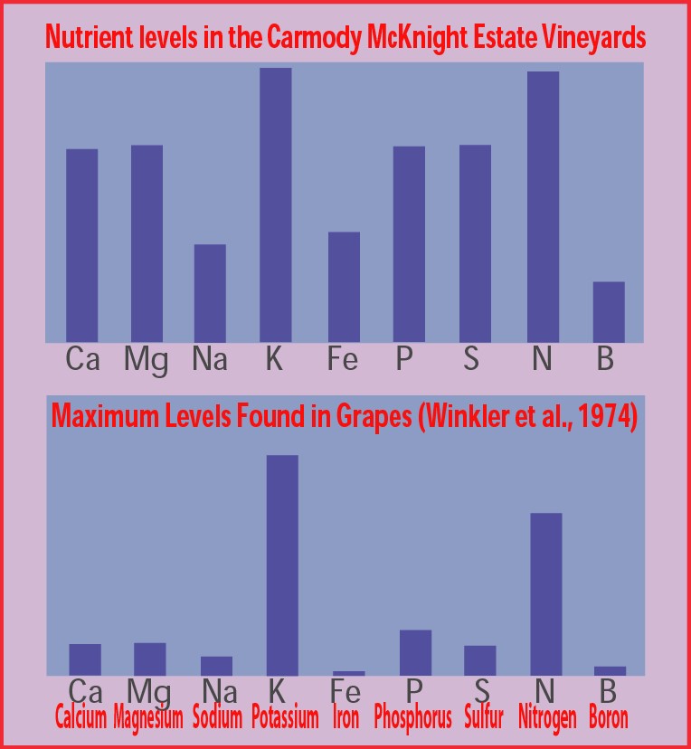 Mineral Chart of Carmody McKnight Wines